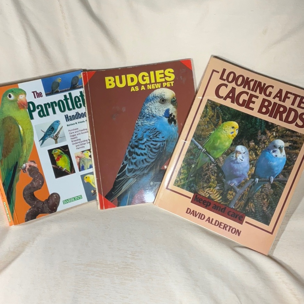 The Parrotlet Handbook, Looking After Caged Birds & Budgies as a new pet
